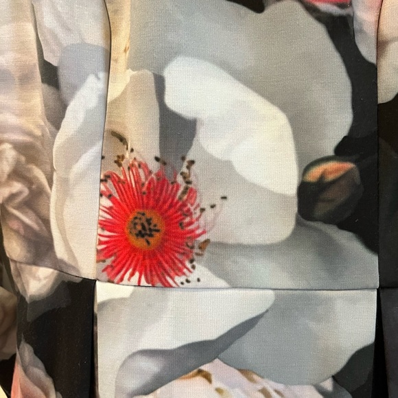 Ted Baker Floral Print Dress, Size 1, Excellent Used Condition - Picture 4 of 7